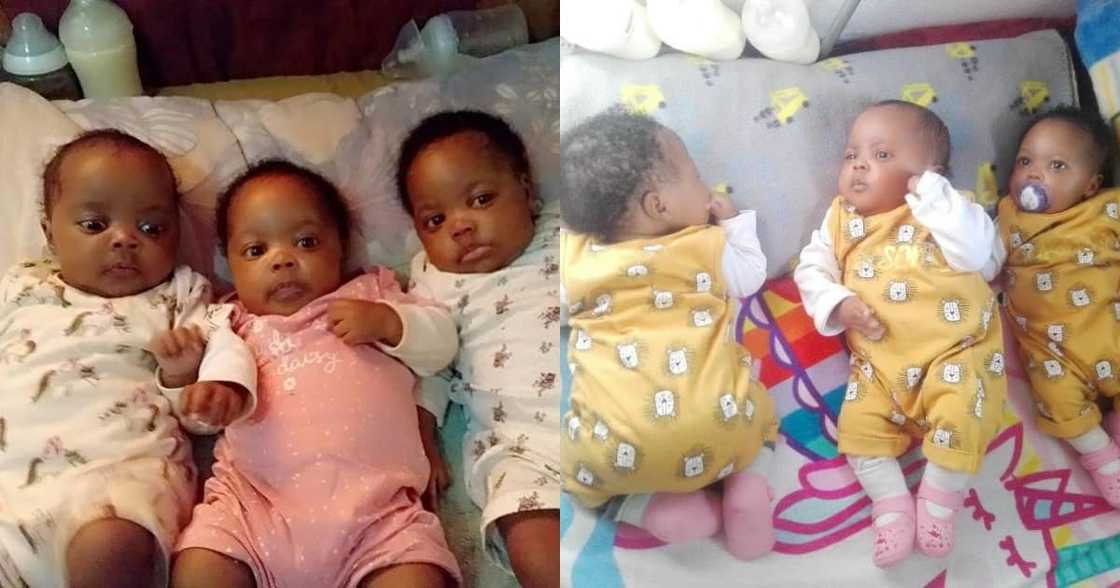 Mom gushes over her triplets Mom gushes over her triplets