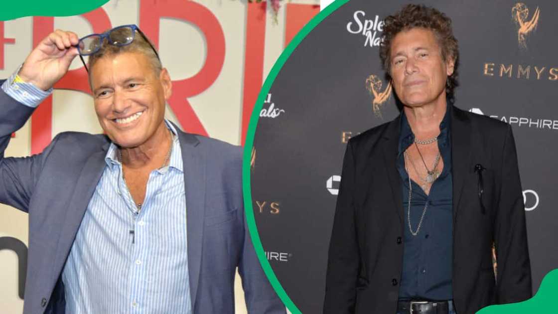 Steven Bauer at the Father of the Bride premiere Steven Bauer at the Father of the Bride premiere