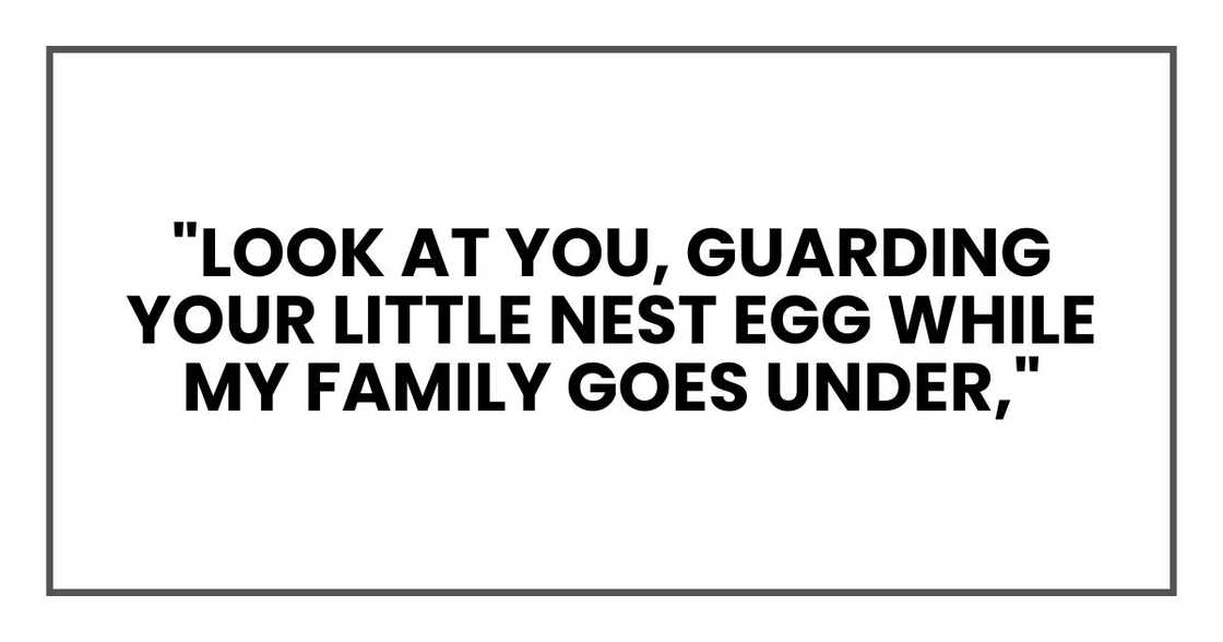 "Look at you, guarding your little nest egg while my family goes under," "Look at you, guarding your little nest egg while my family goes under,"