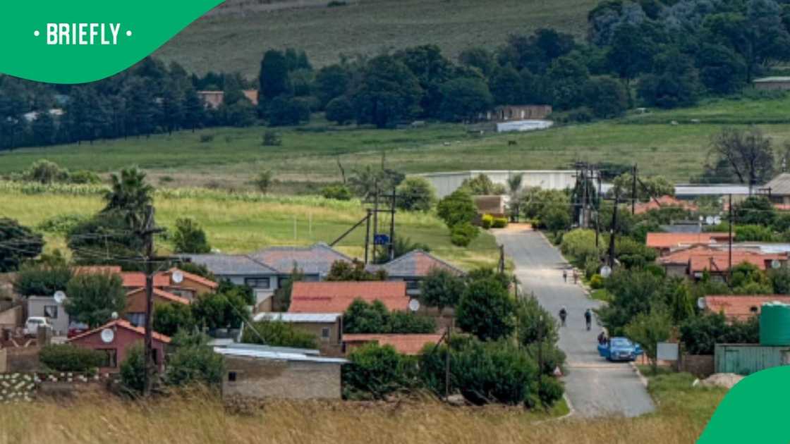 SA fond of plot living SA fond of plot living