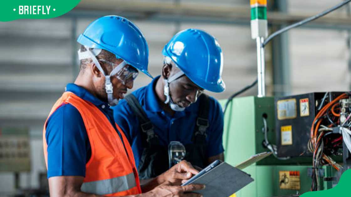 mechatronics engineering is considered worth pursuing mechatronics engineering is considered worth pursuing