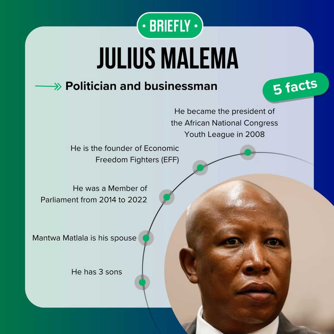 Top-5 facts about Julius Malema