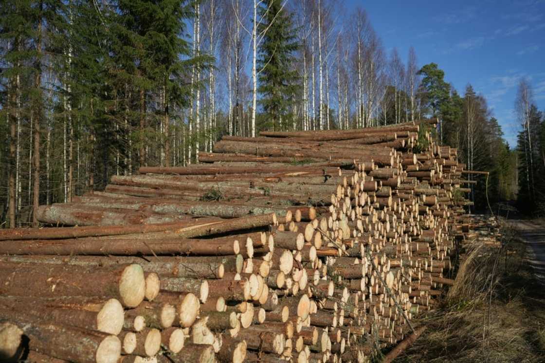 In 2020, the value of Finnish exports of forest industry products was 10.4 billion euros, amounting to 18 percent of the country's total exports In 2020, the value of Finnish exports of forest industry products was 10.4 billion euros, amounting to 18 percent of the country's total exports