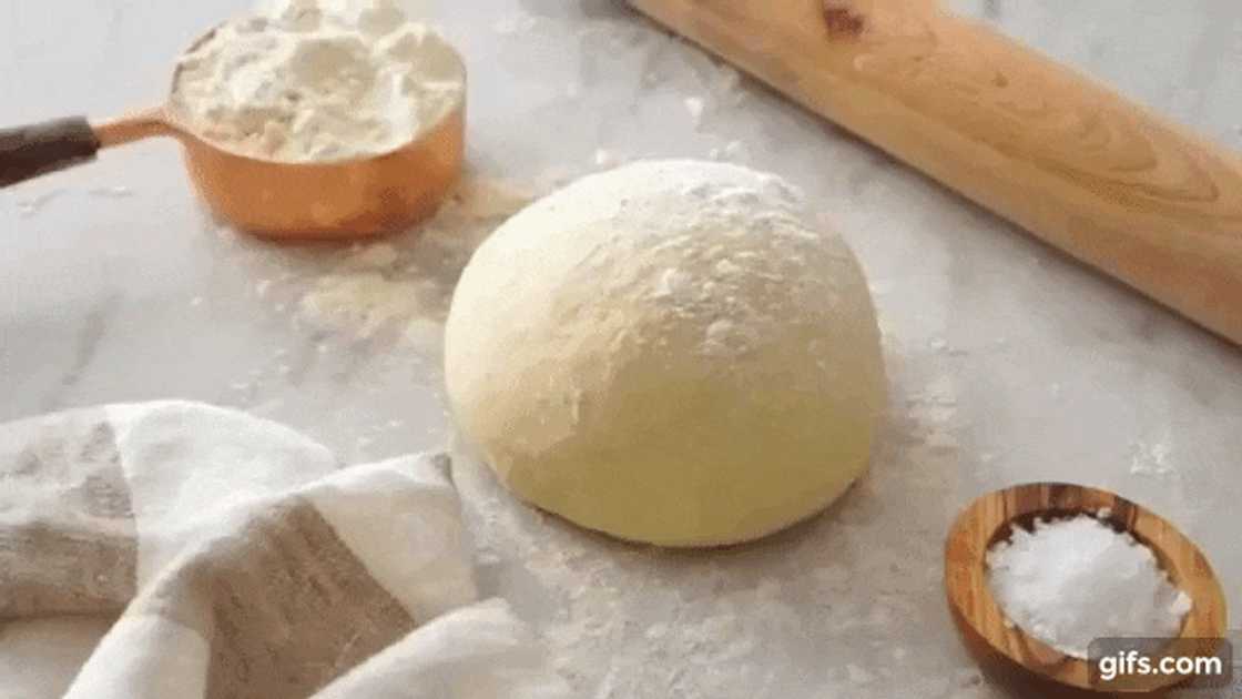 Homemade pizza dough recipe Homemade pizza dough recipe