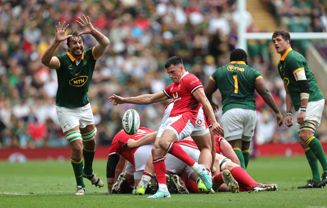 Springboks, South Africa, Wales, Ellis Bevan, Summer Rugby International