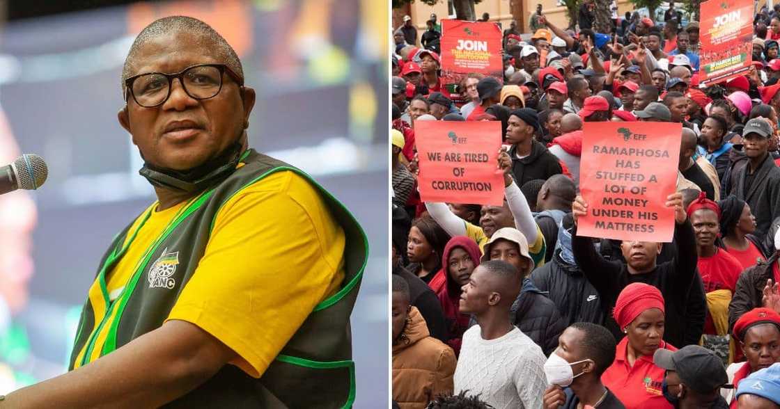 ANC SG Fikile Mbalula slammed the EFF's national shutdown