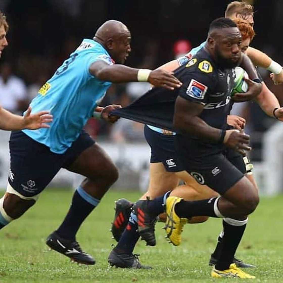 the beast rugby the beast rugby