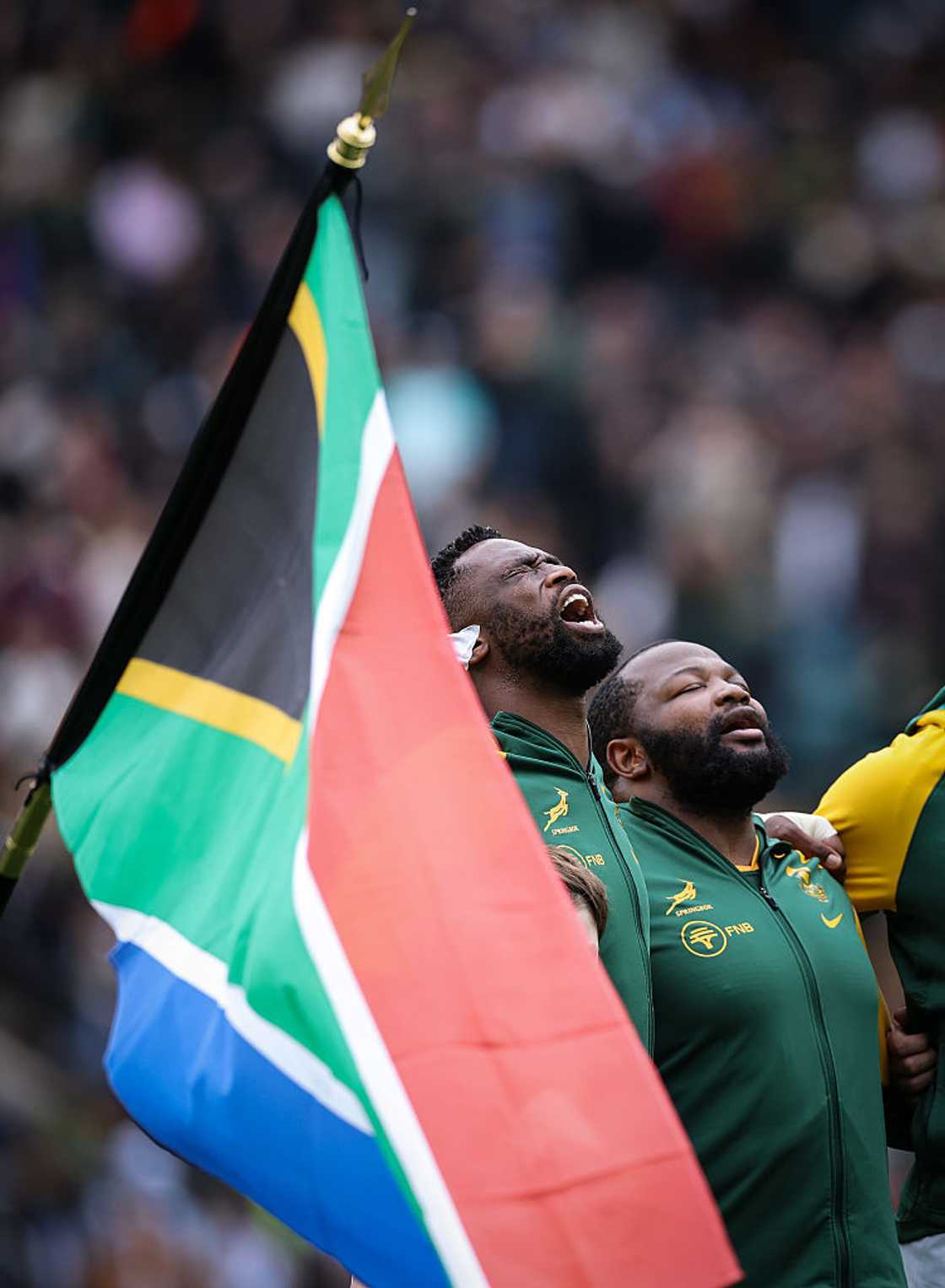 Springboks are a beloved national treasure Springboks are a beloved national treasure