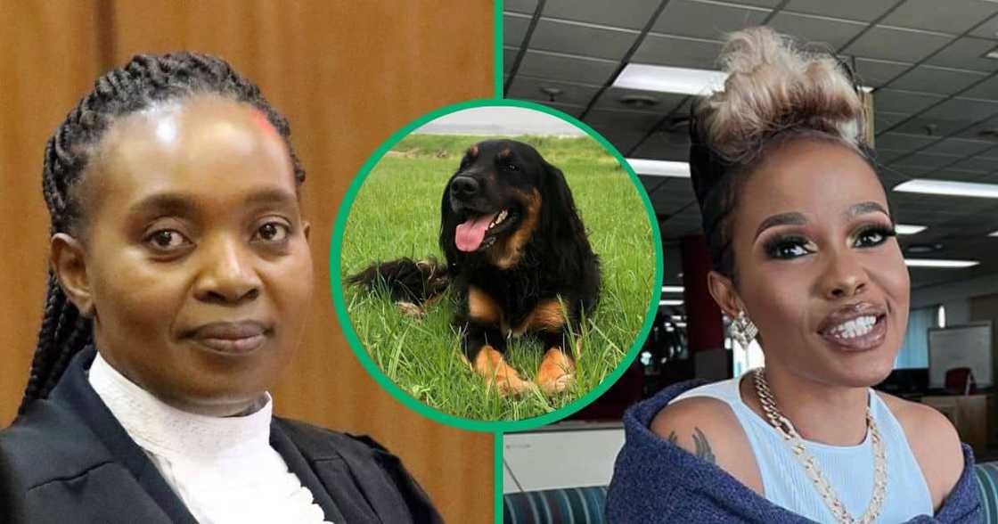 Advocate Mshololo hit back at Zandie Khumalo. Advocate Mshololo hit back at Zandie Khumalo.
