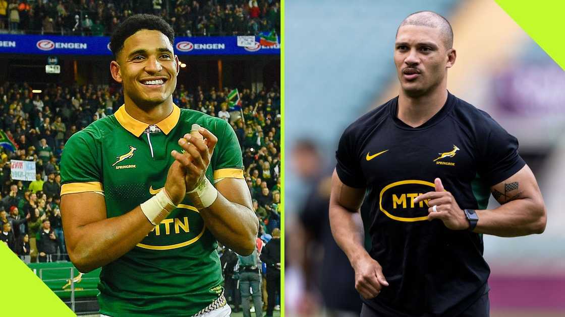 Sacha Feingberg-Mngomezulu and Edwill van der Merwe has impressed for the Boks. Sacha Feingberg-Mngomezulu and Edwill van der Merwe has impressed for the Boks.