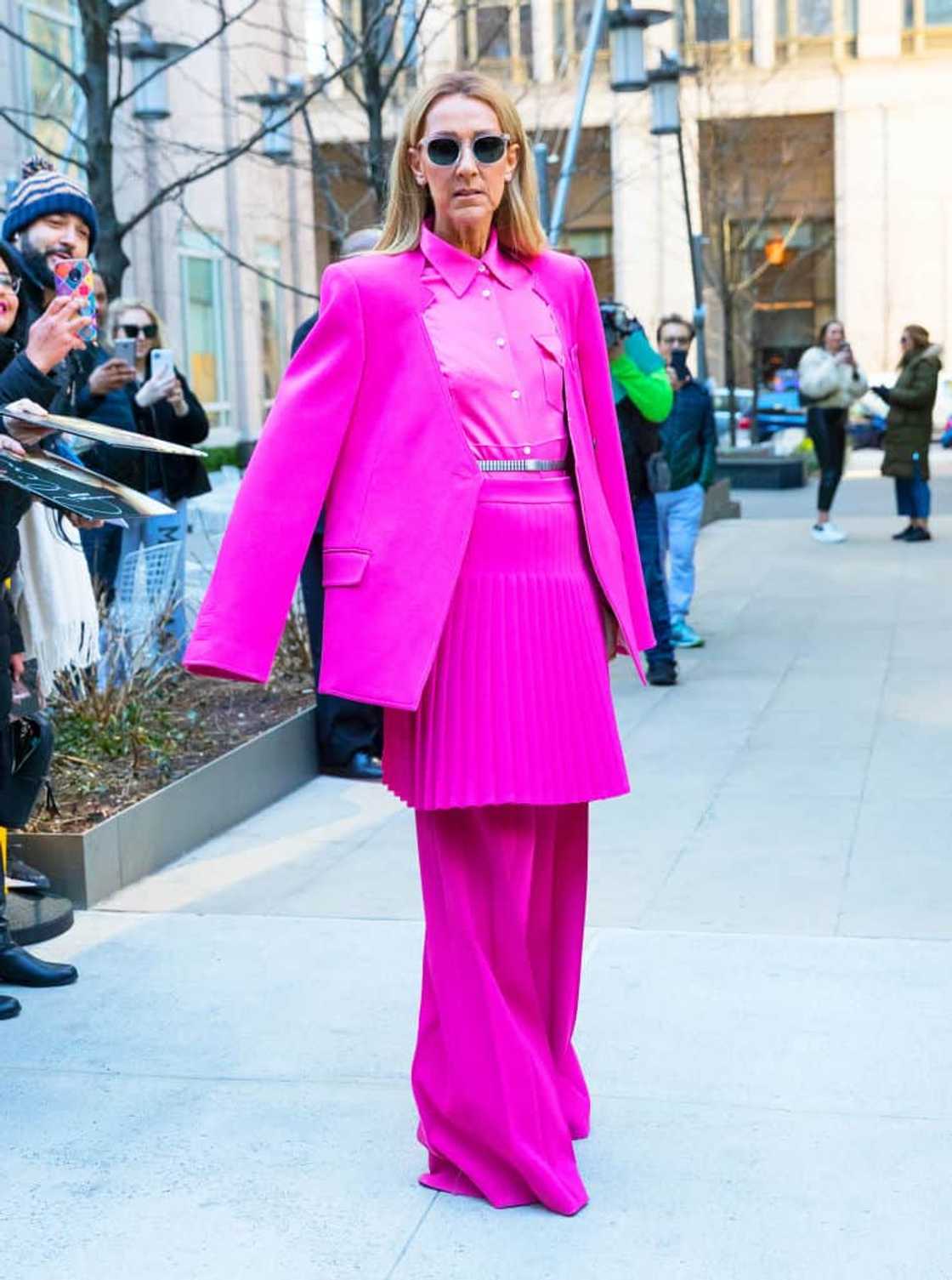 Celine Dion net worth Celine Dion net worth