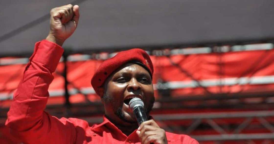 Floyd Shivambu, EFF, Economic Freedom Fighters, Freedom under Law, Julius Malema, Dali Mpofu, JSC, Chief Justice, Constitutional Court Floyd Shivambu, EFF, Economic Freedom Fighters, Freedom under Law, Julius Malema, Dali Mpofu, JSC, Chief Justice, Constitutional Court
