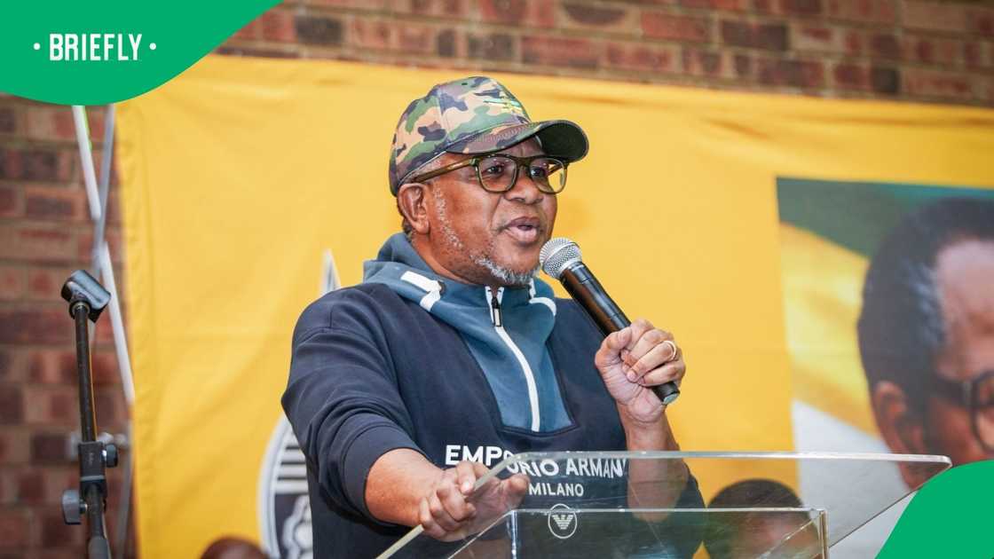 The Democratic Alliance responded to Fikile Mbalula slamming its Local Government Elections manifesto
