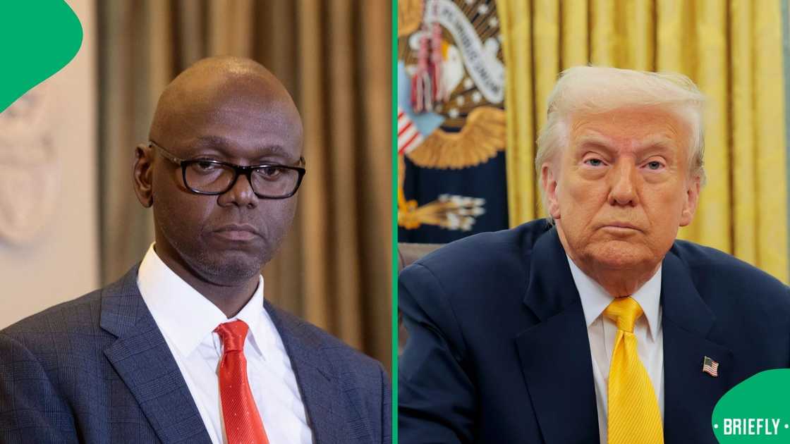 Presidential Spokesperson Vincent Magwenya weighed in on Trump's comments Presidential Spokesperson Vincent Magwenya weighed in on Trump's comments