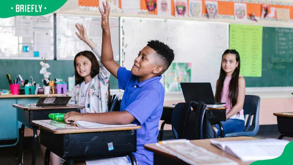 Students raising hands in classroom.