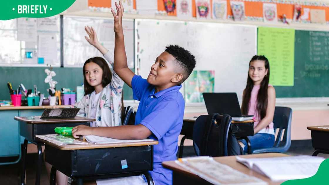 Students raising hands in classroom. Students raising hands in classroom.