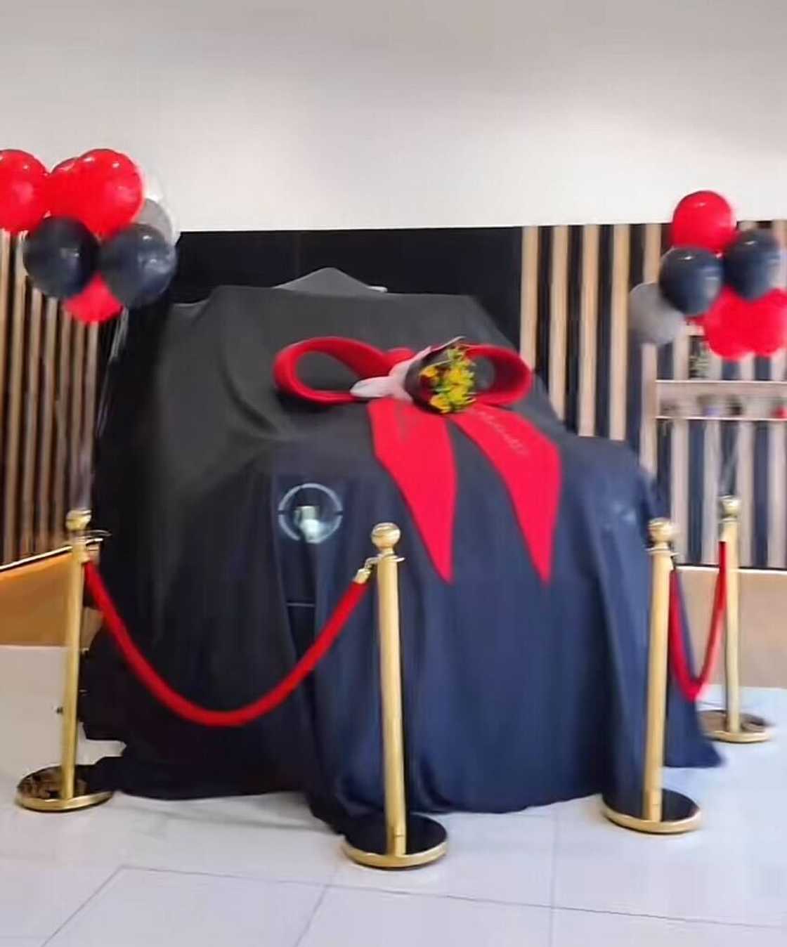 South Africans went crazy for the woman's brand-new HAVAL car. South Africans went crazy for the woman's brand-new HAVAL car.