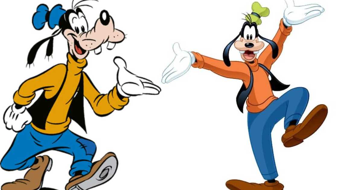 Goofy from the Disney universe Goofy from the Disney universe