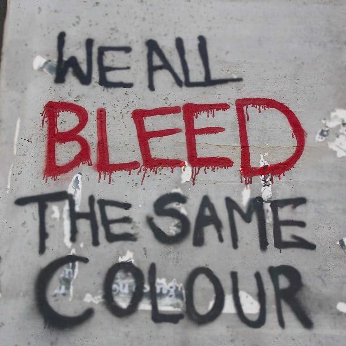 Apartheid: What is apartheid, apartheid laws, apartheid flag, when did it start, when did apartheid end and how it affected people's lives.