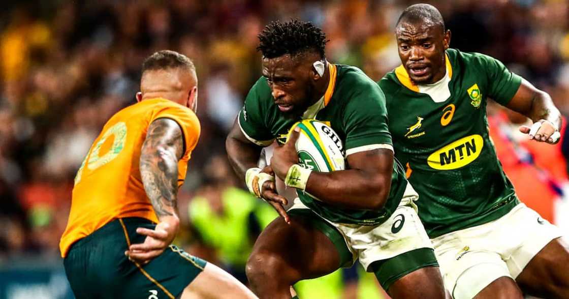 Australia, Wallabies. Springboks. rugby, sport