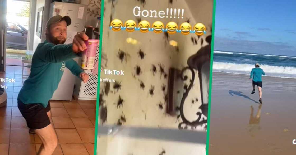 Man shared fear of spiders in video Man shared fear of spiders in video