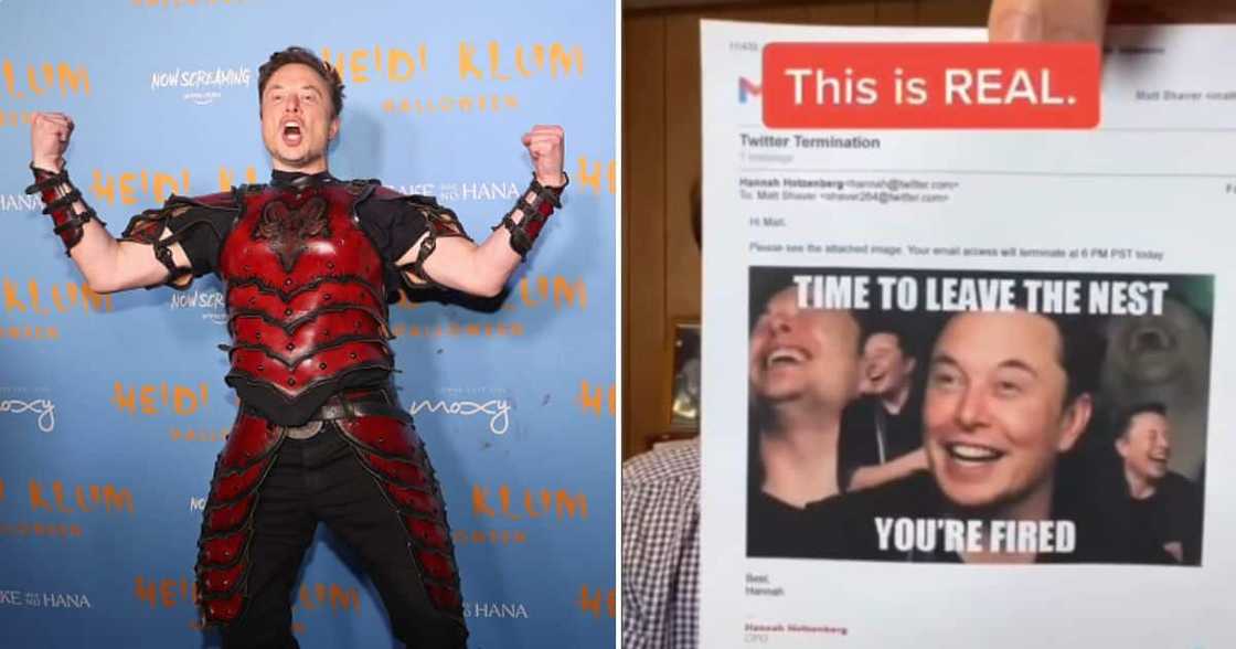 Former Twitter employee shares email he received Former Twitter employee shares email he received