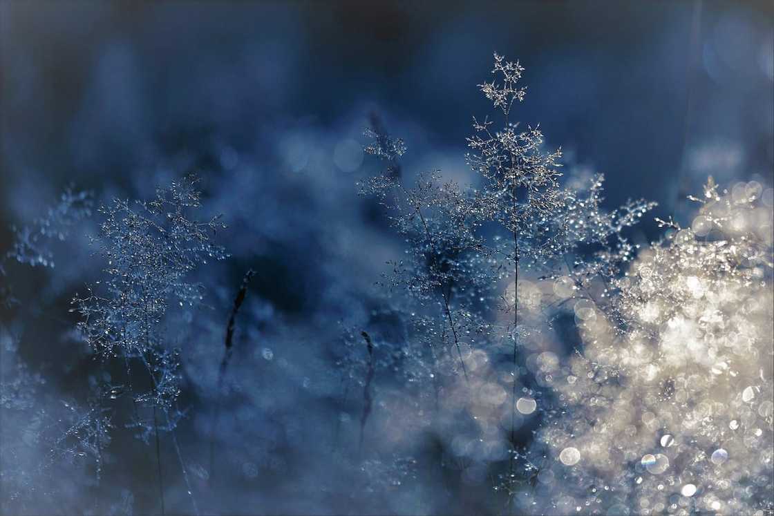 Weather and seasons in South Africa: Here's all you need to know Weather and seasons in South Africa: Here's all you need to know