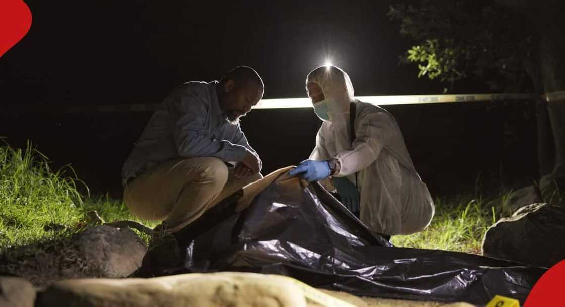 30-year-old woman was fatally attacked by a snake. 30-year-old woman was fatally attacked by a snake.