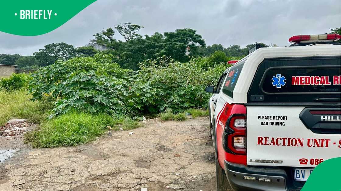 Verulam couple busted inside bush after infant wails while having relations Verulam couple busted inside bush after infant wails while having relations