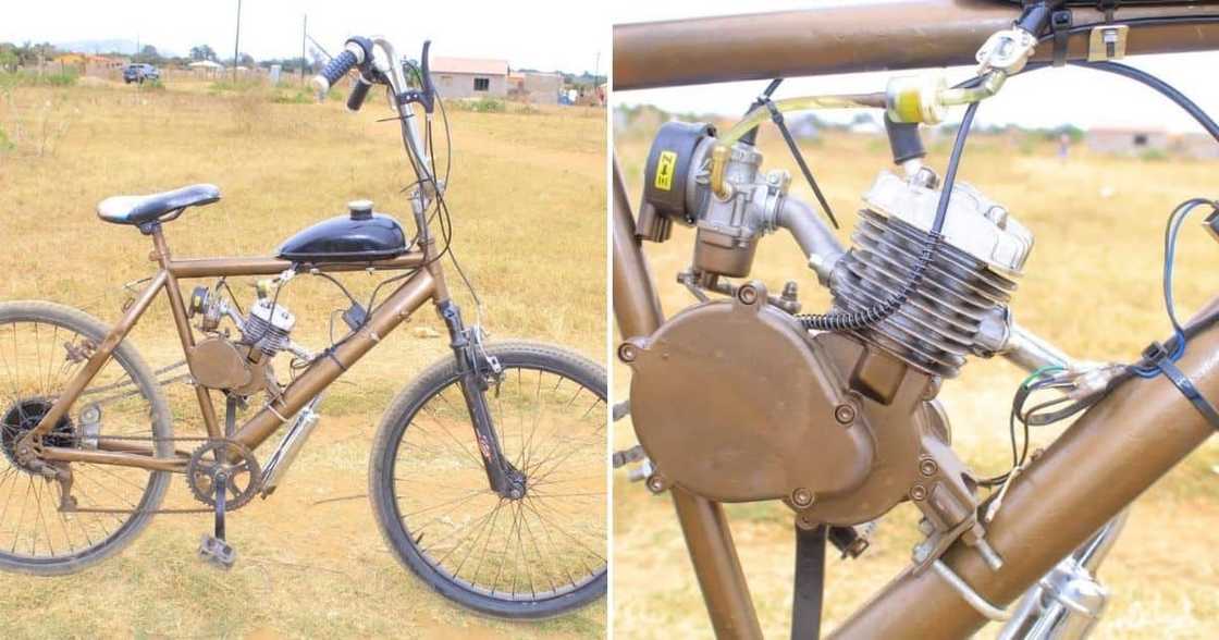 Limpopo, Student, Tlhologelo Mashala, Petrol Powered Bicycle, Delivery Business Limpopo, Student, Tlhologelo Mashala, Petrol Powered Bicycle, Delivery Business