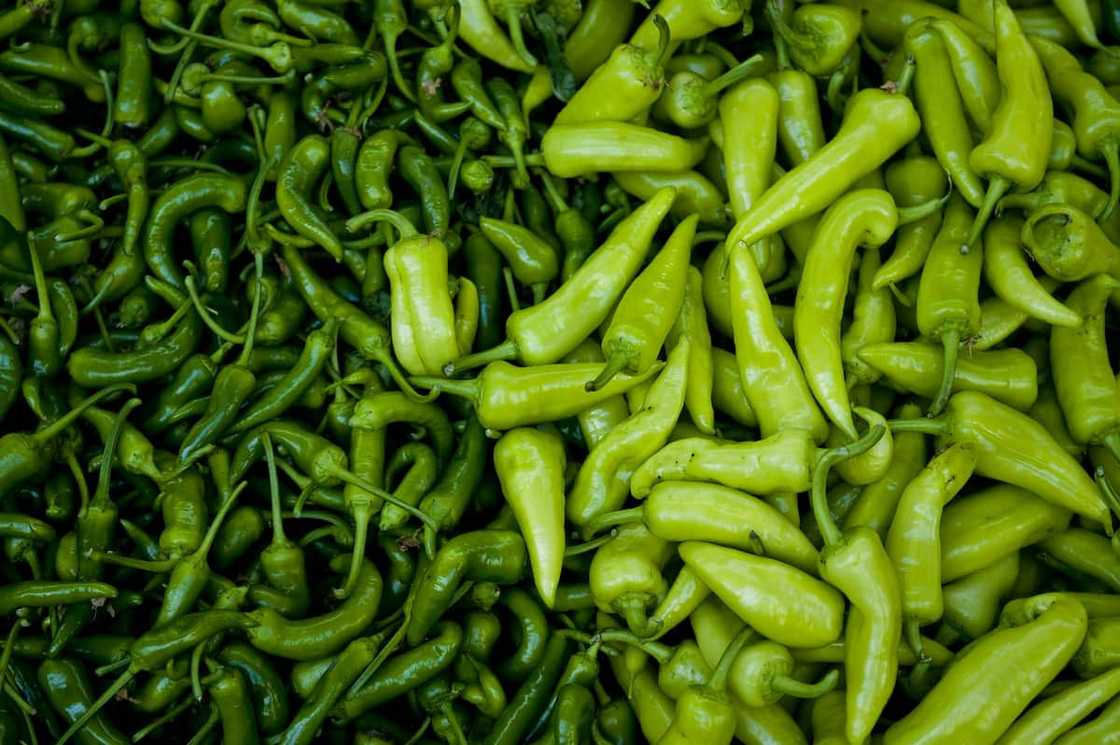 winter vegetables South Africa winter vegetables South Africa