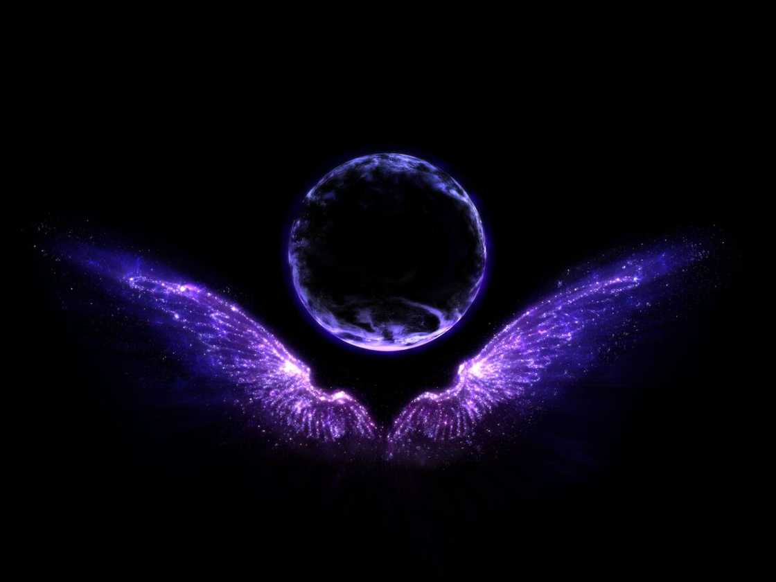 Star angel wings and sphere