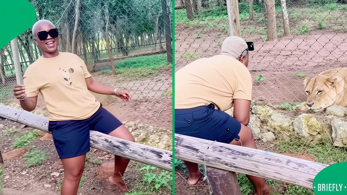 A lady received an unexpected reaction from a lion, which left her shocked.