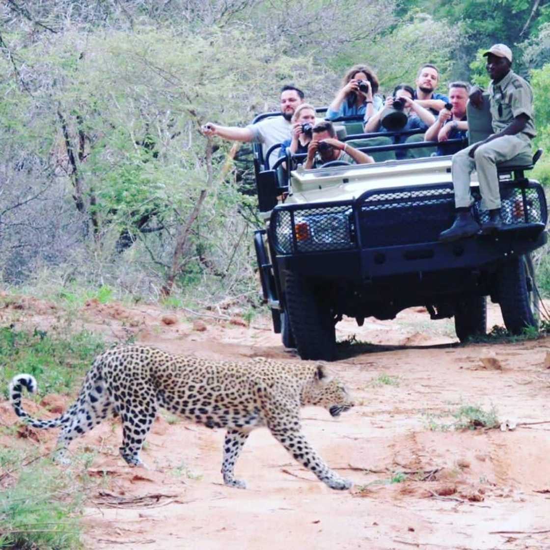 Kruger national park accommodation Kruger national park accommodation