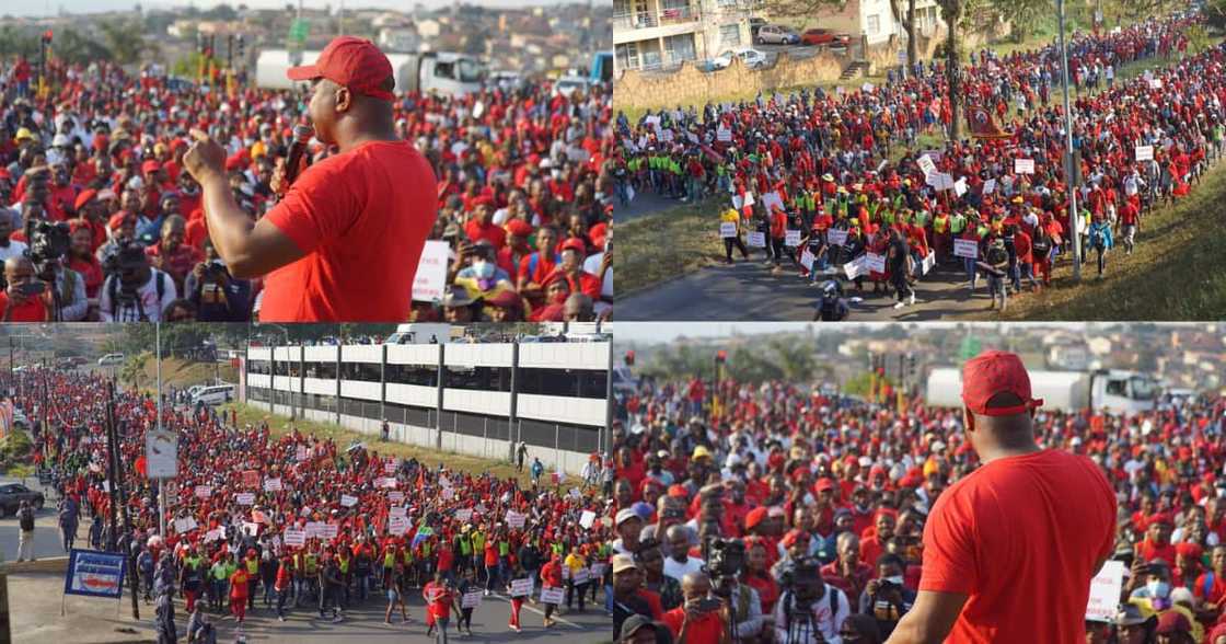 Video, EFF members, marching, phoenix, protest, social media Video, EFF members, marching, phoenix, protest, social media