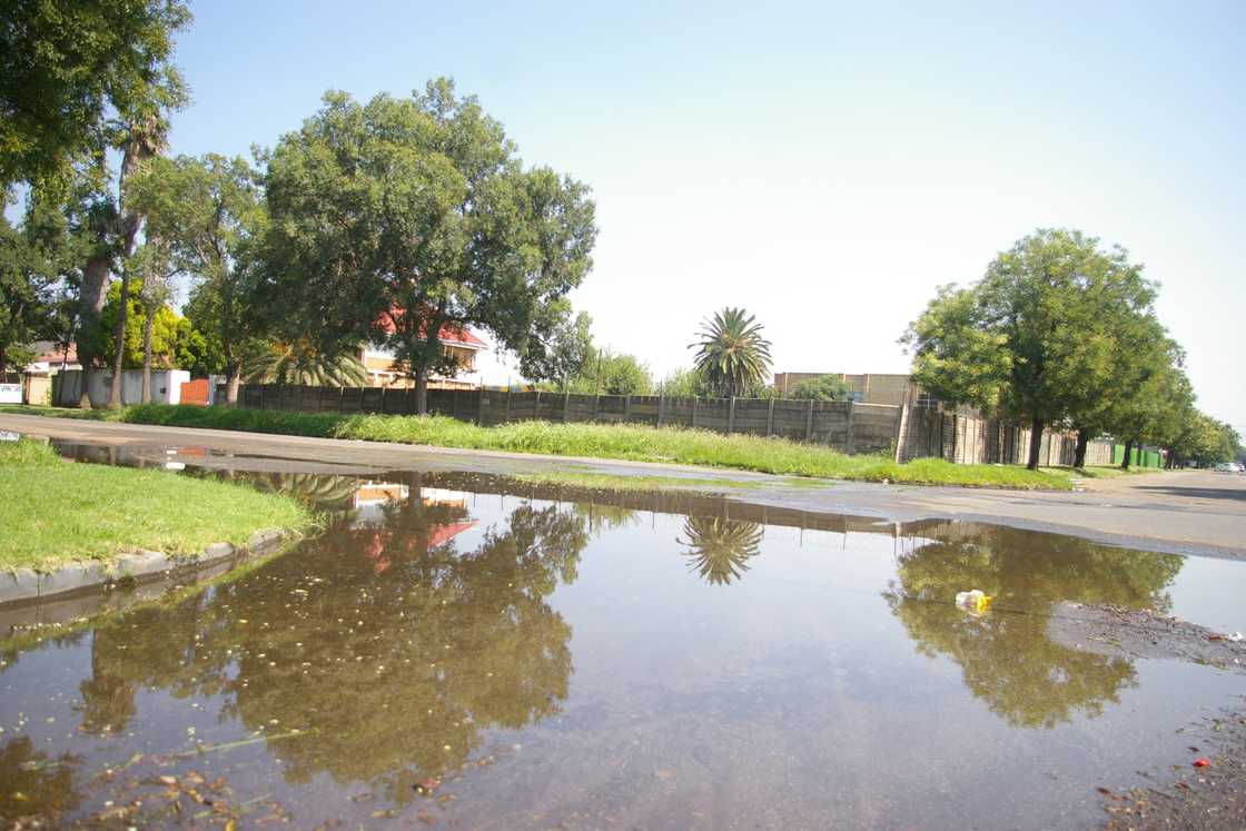 Thunderstorms are expected in parts of South Africa, including Gauteng and Limpopo