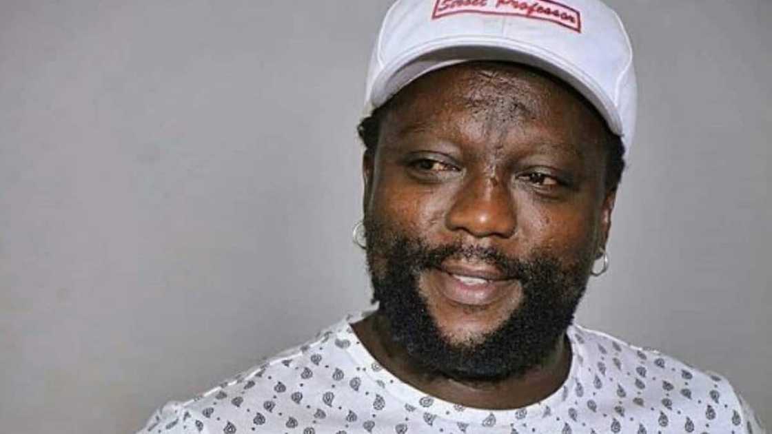 Zola 7 Zola 7
