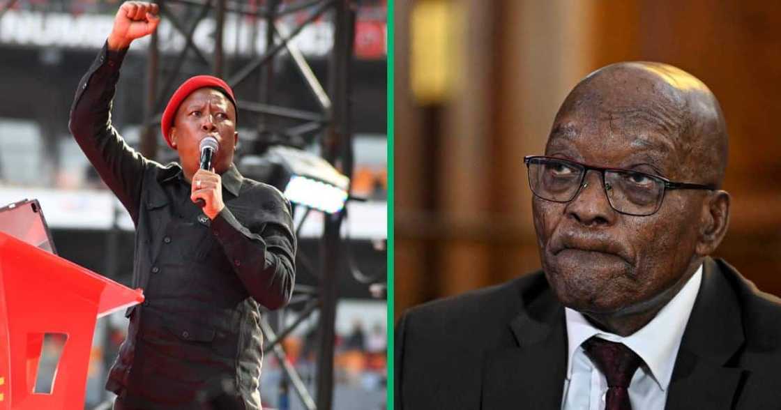 Julius Malema said that when Jacob Zuma was president, he never banned the EFF from Parliament Julius Malema said that when Jacob Zuma was president, he never banned the EFF from Parliament