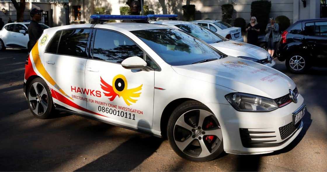 The Hawks The Hawks