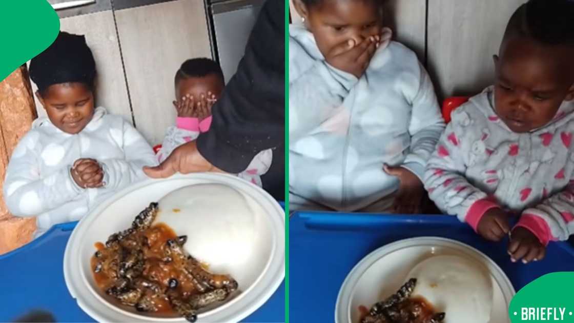 A viral video showed children reacting to mopane worms, with expressions ranging from brave to totally grossed out