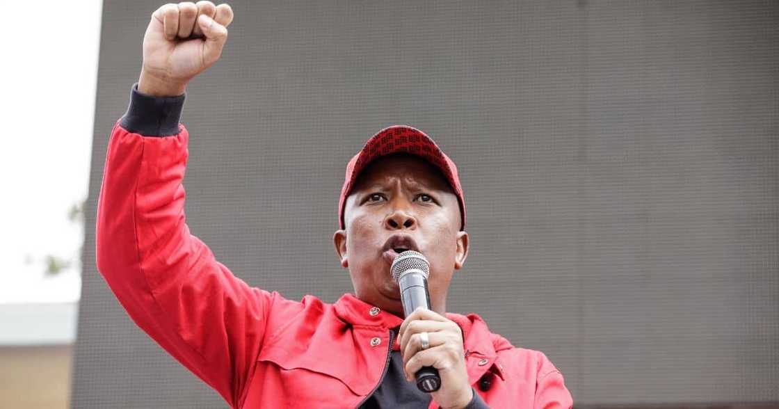 Julius Malema