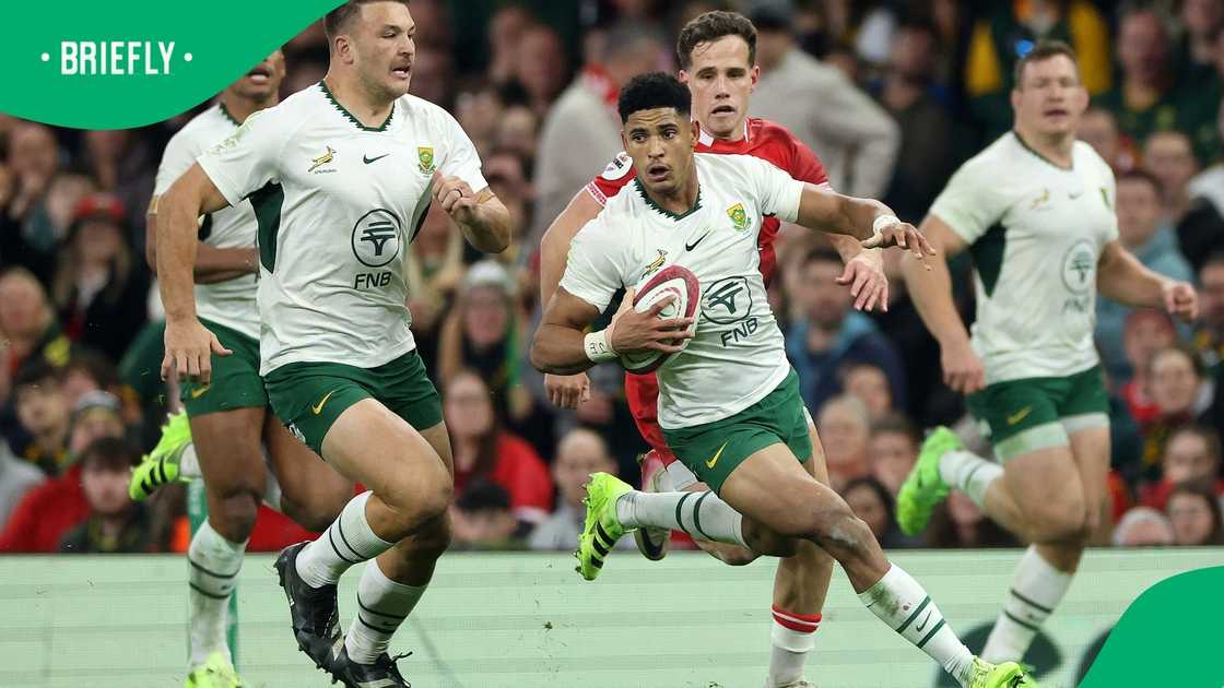 Springboks, South Africa, Sacha Feinberg-Mngomezulu, Quilter Nations Series 2025