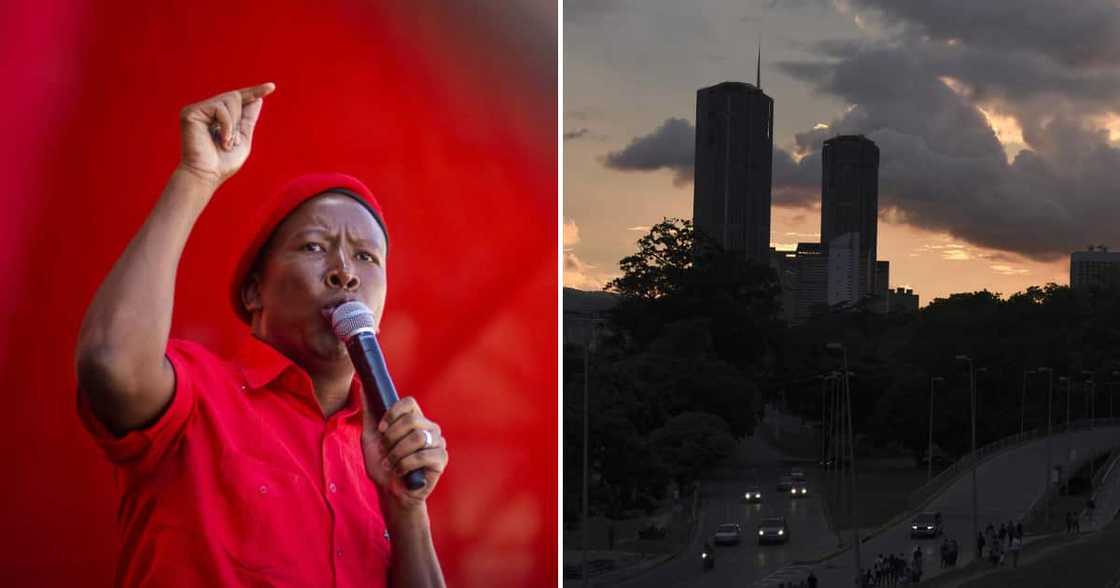 Julius Malema has warned that SA's power grid will collapse in two weeks Julius Malema has warned that SA's power grid will collapse in two weeks