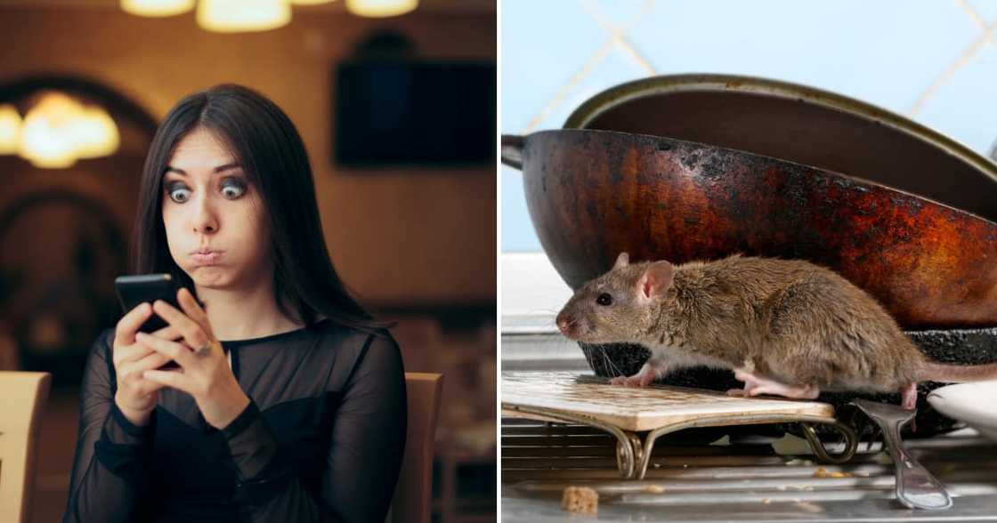 Rats cooked on TikTok Rats cooked on TikTok