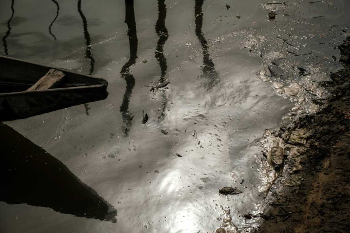 Devastation: Oil pollution on the River Bodo in southern Nigeria Devastation: Oil pollution on the River Bodo in southern Nigeria
