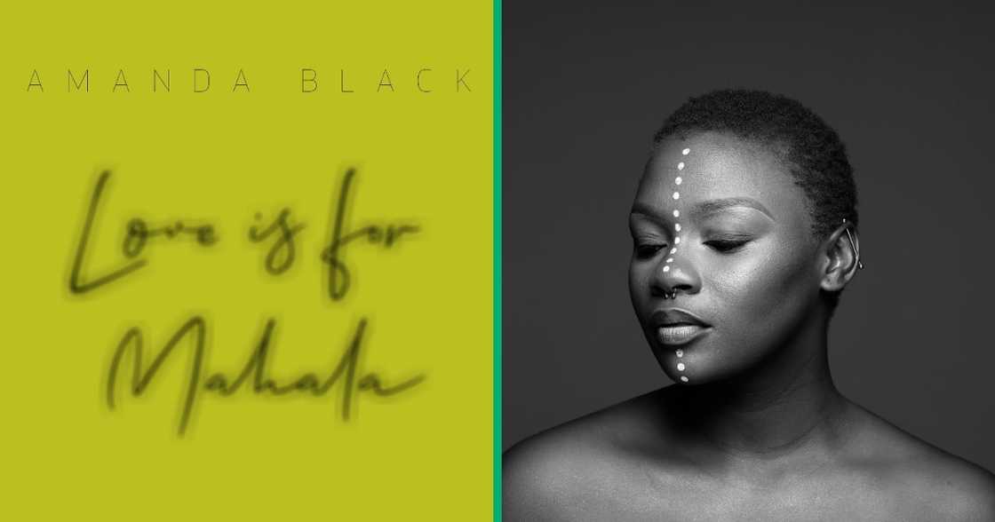 Amanda Black talks about the inspiration behind her project. Amanda Black talks about the inspiration behind her project.