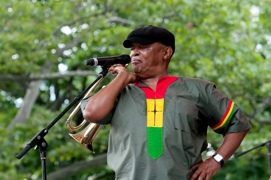 Hugh Masekela's net worth