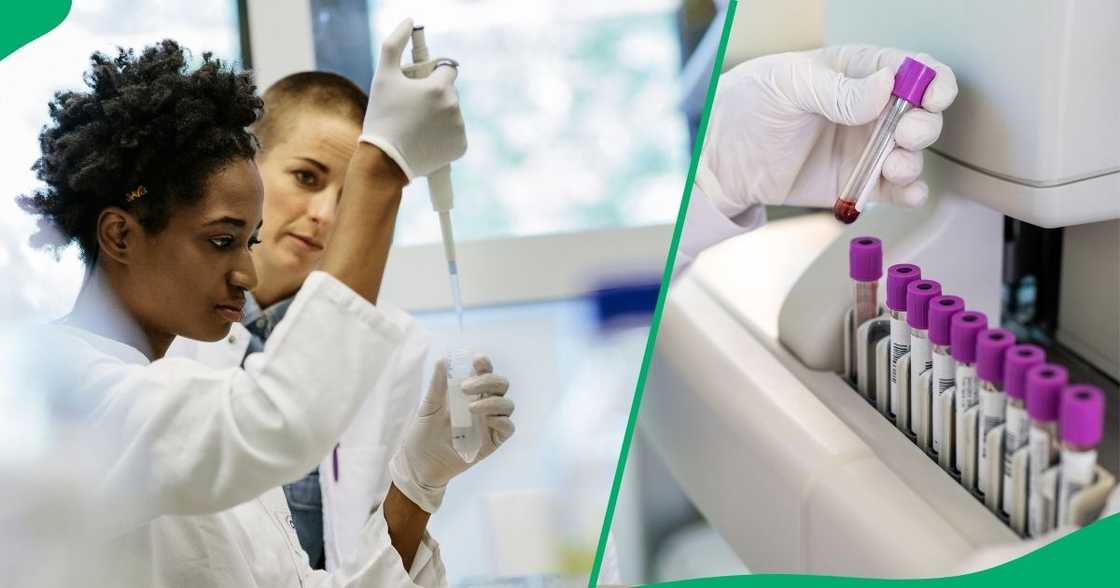 The Gauteng Health Department is using private laboratories to fast-track critical tests to alleviate the delays caused by the recent security breach. The Gauteng Health Department is using private laboratories to fast-track critical tests to alleviate the delays caused by the recent security breach.