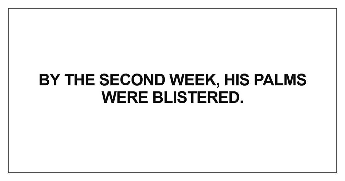 By the second week