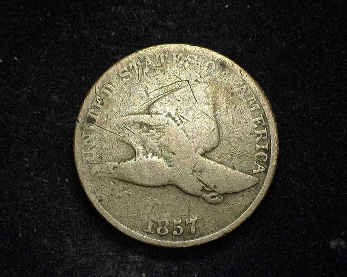 What penny is worth a lot of money? What penny is worth a lot of money?